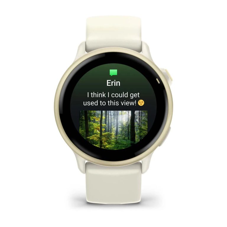 Garmin Vivoactive 6 Lunar Gold with Bone Band