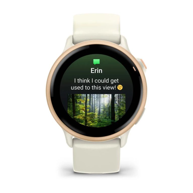 Garmin Vivoactive 6 Metallic Pink Dawn with Bone Silicone Band