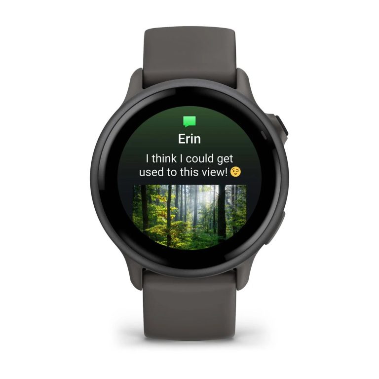 Garmin Vivoactive 6 Slate with Pebble Gray Band