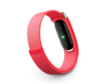 Google Fitbit Air — Berry