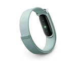 Google Fitbit Air — Fog