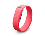 Google Fitbit Air — Berry