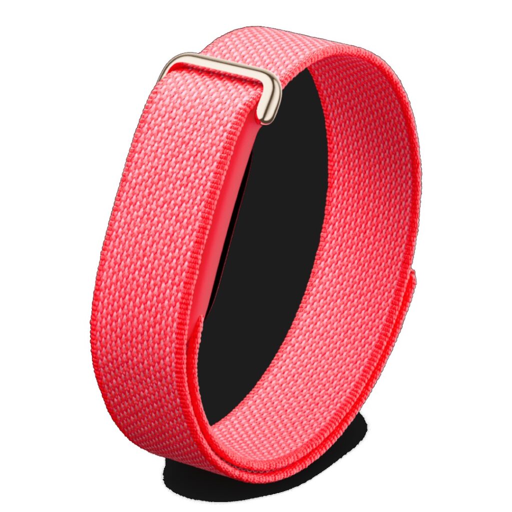 Google Fitbit Air Berry