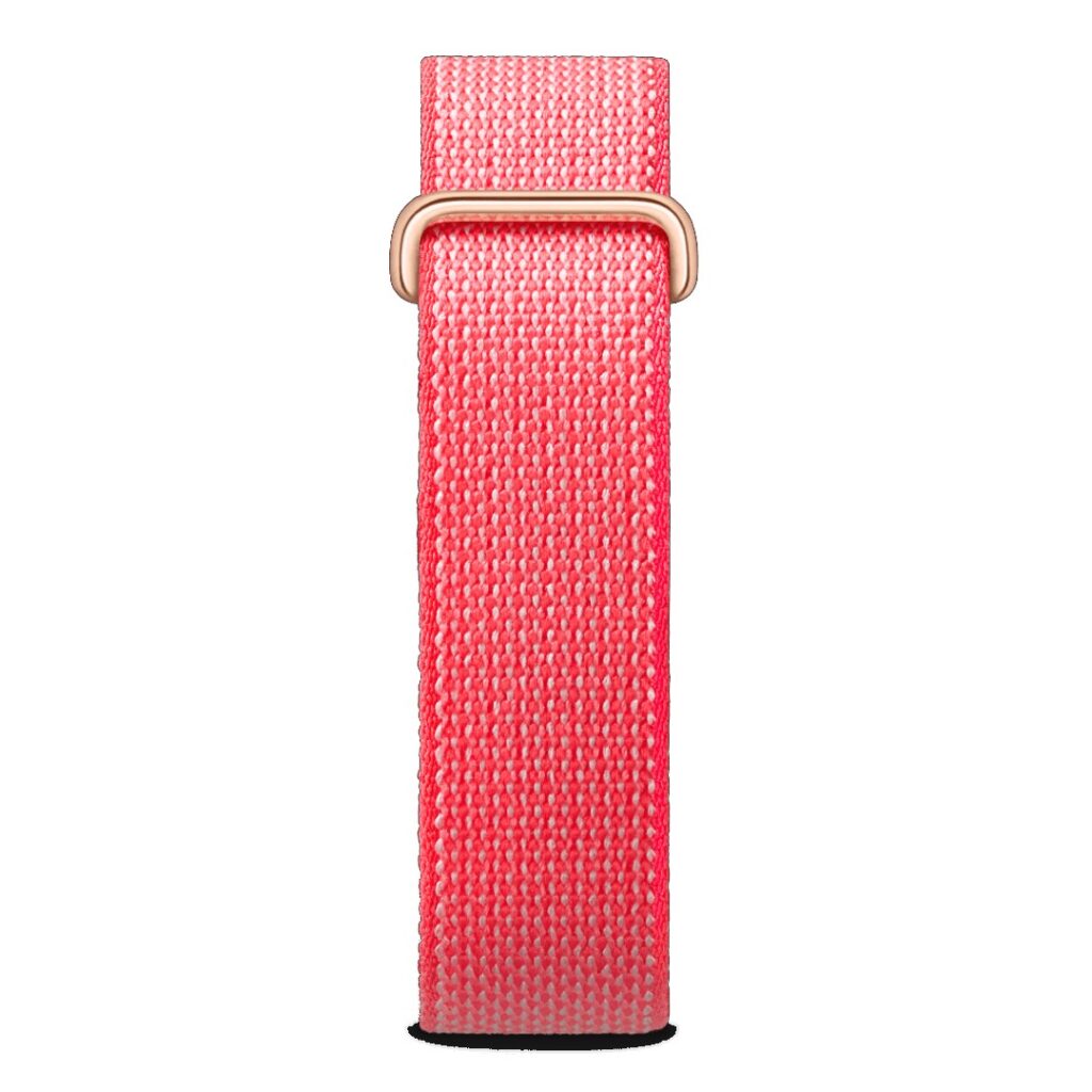 Google Fitbit Air Berry