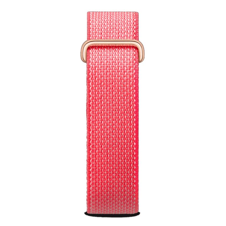 Google Fitbit Air Berry