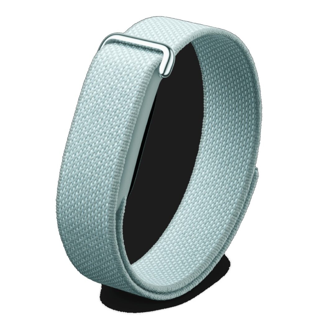 Google Fitbit Air Fog