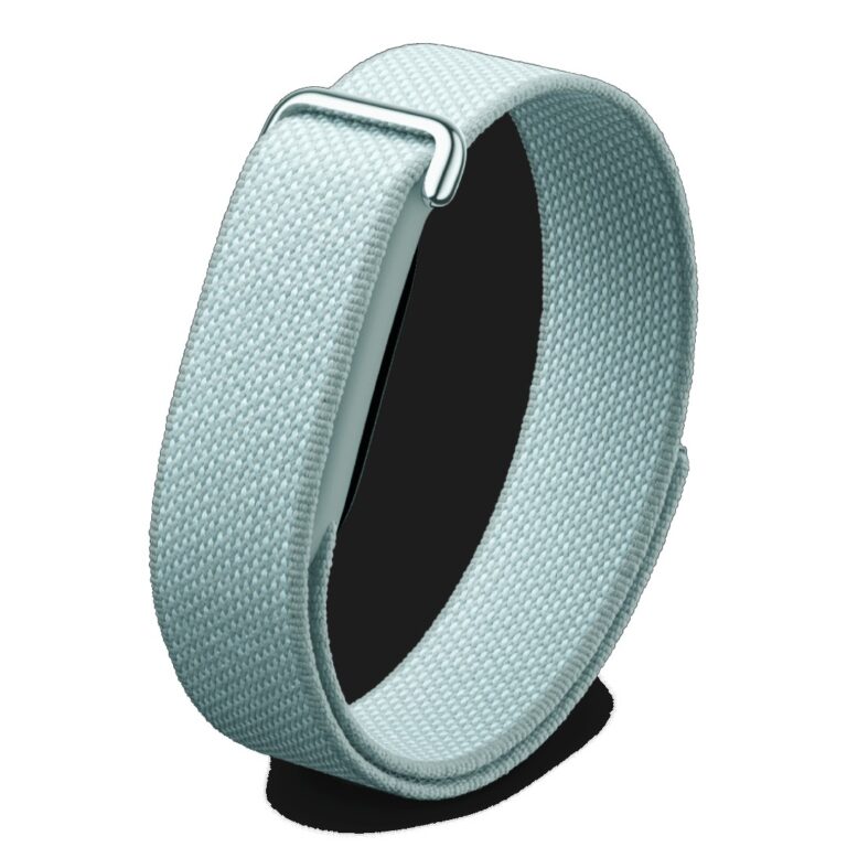 Google Fitbit Air Fog