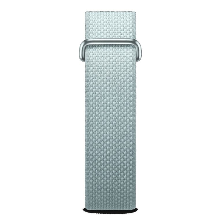 Google Fitbit Air Fog