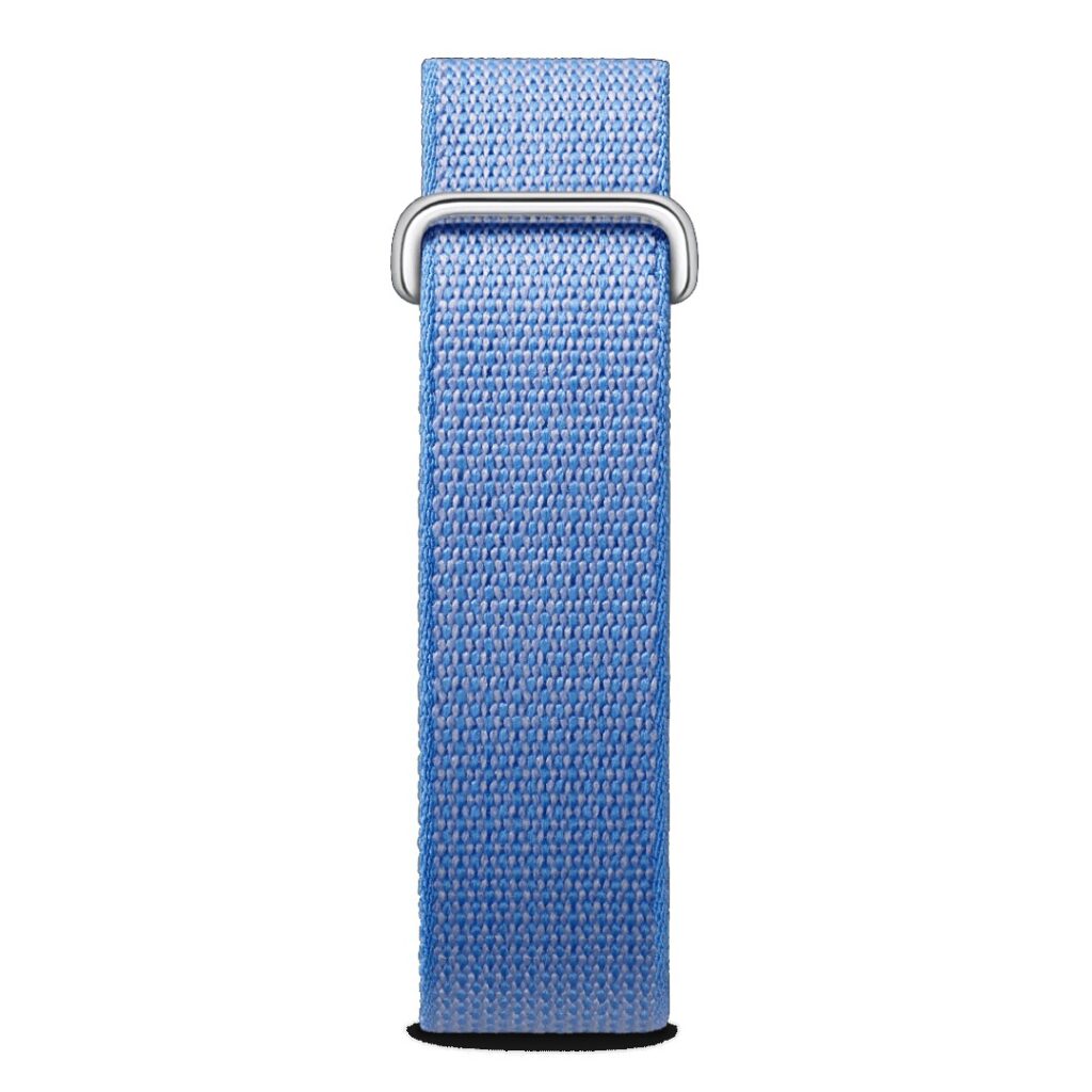 Google Fitbit Air Lavender