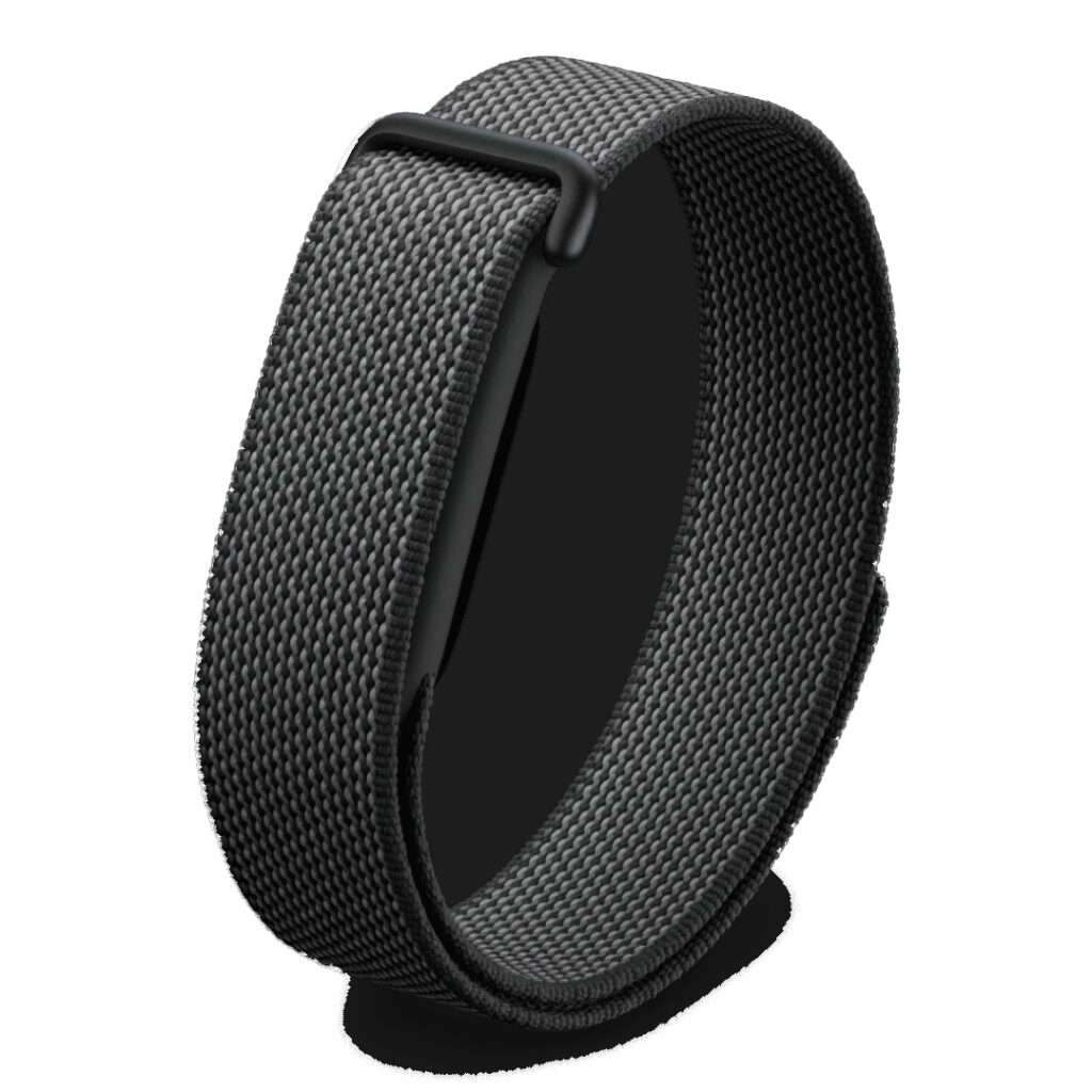 Google Fitbit Air Obsidian