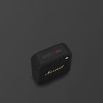 Marshall Willen II — Black & Brass