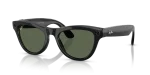 Ray-Ban Meta Skyler Standard Shiny Black / G-15 Green Lenses