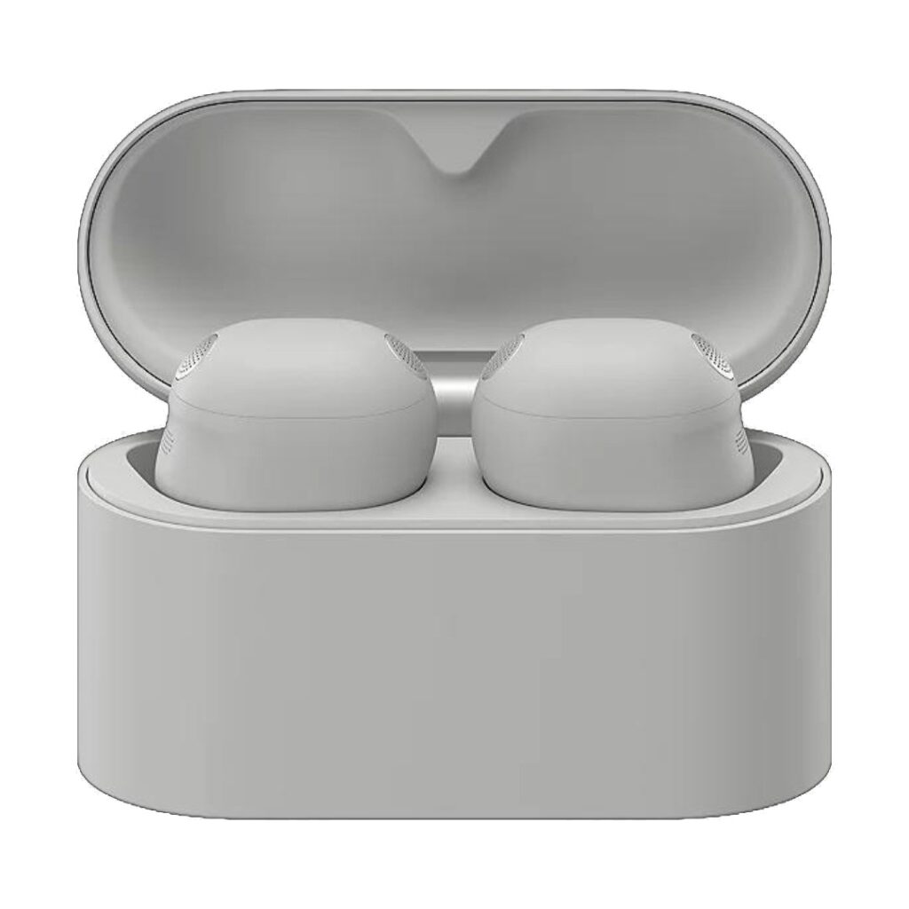 Sony WF-1000XM6 Platinum Silver