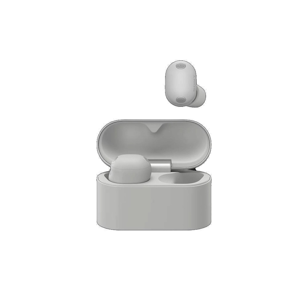 Sony WF-1000XM6 Platinum Silver